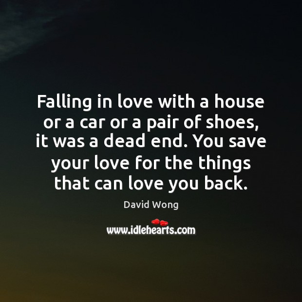 Falling in love with a house or a car or a pair David Wong Picture Quote