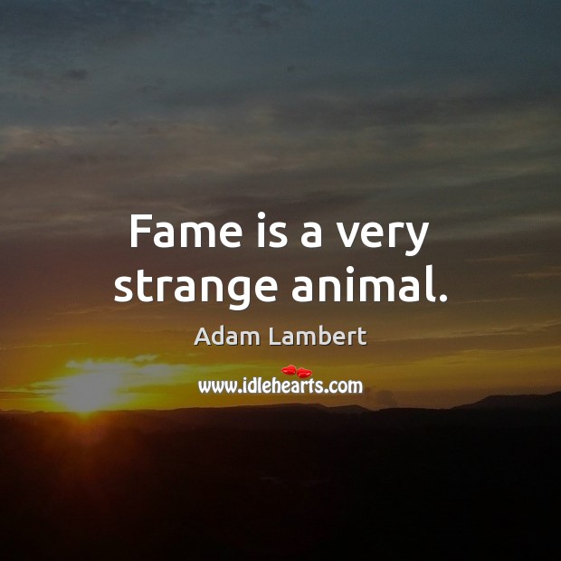 Fame is a very strange animal. Adam Lambert Picture Quote