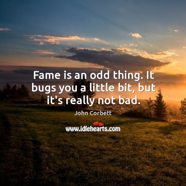 Fame is an odd thing. It bugs you a little bit, but it’s really not bad. John Corbett Picture Quote