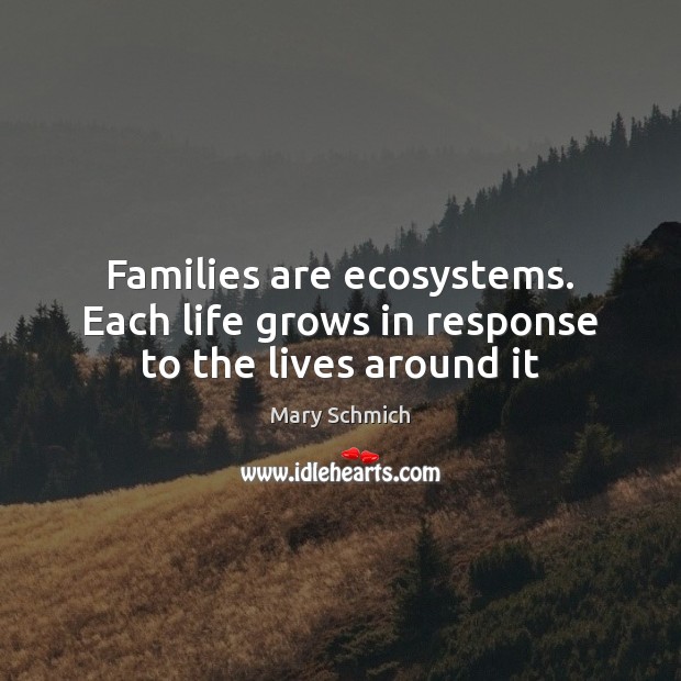 Families are ecosystems. Each life grows in response to the lives around it Mary Schmich Picture Quote