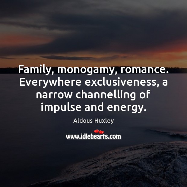 Family, monogamy, romance. Everywhere exclusiveness, a narrow channelling of impulse and energy. Image