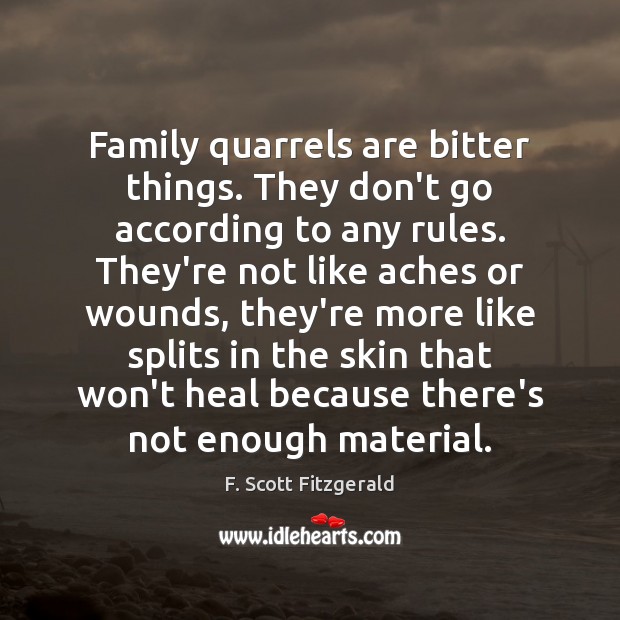 Family quarrels are bitter things. They don’t go according to any rules. F. Scott Fitzgerald Picture Quote