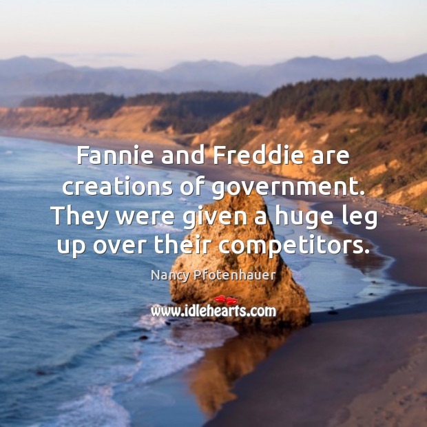 Fannie and Freddie are creations of government. They were given a huge Nancy Pfotenhauer Picture Quote