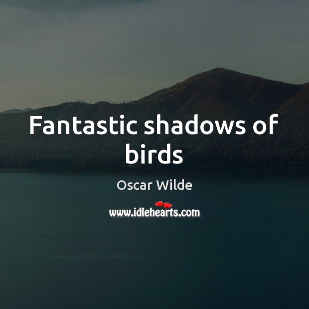 Fantastic shadows of birds Image