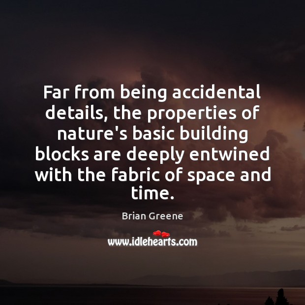 Far from being accidental details, the properties of nature’s basic building blocks Brian Greene Picture Quote