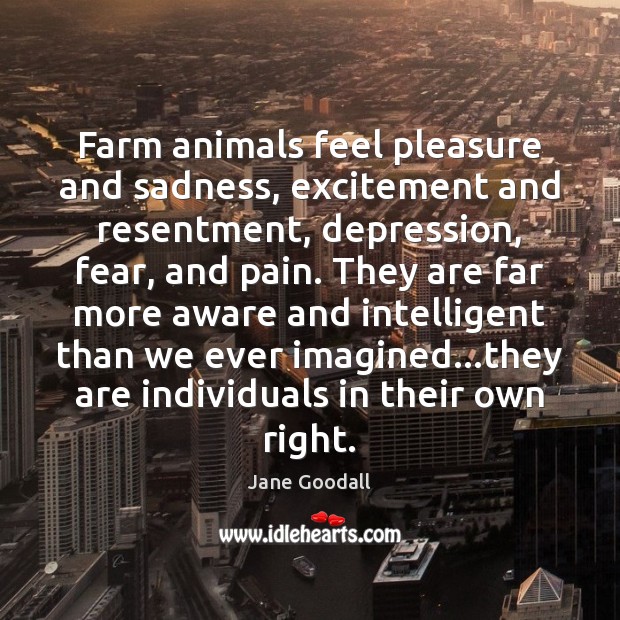 Farm animals feel pleasure and sadness, excitement and resentment, depression, fear, and Image