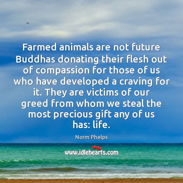Farmed animals are not future Buddhas donating their flesh out of compassion Norm Phelps Picture Quote