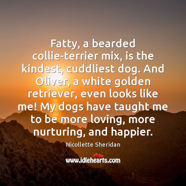 Fatty, a bearded collie-terrier mix, is the kindest, cuddliest dog. And Oliver, Nicollette Sheridan Picture Quote