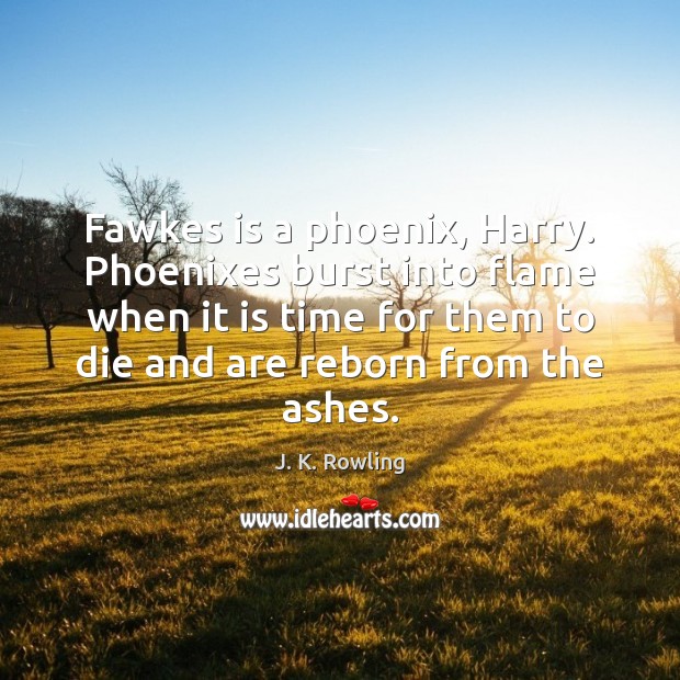 Fawkes is a phoenix, Harry. Phoenixes burst into flame when it is J. K. Rowling Picture Quote