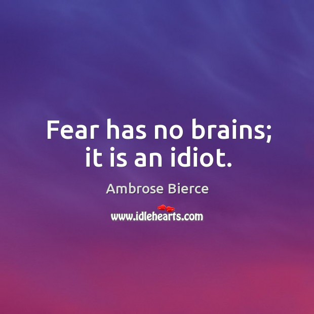 Fear has no brains; it is an idiot. Image