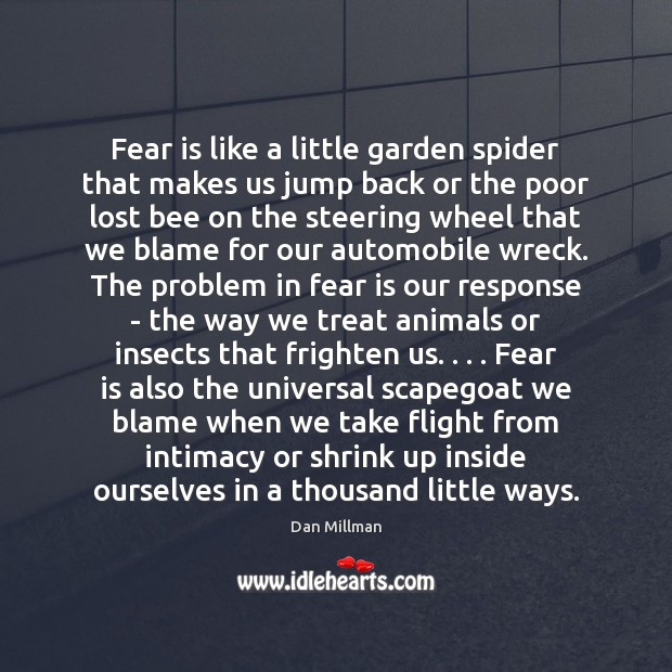 Fear is like a little garden spider that makes us jump back Dan Millman Picture Quote