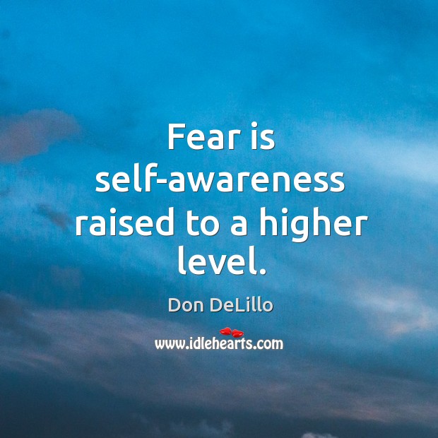 Fear is self-awareness raised to a higher level. Don DeLillo Picture Quote
