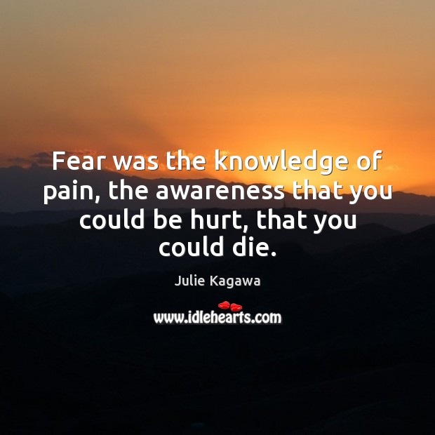 Fear was the knowledge of pain, the awareness that you could be hurt, that you could die. Julie Kagawa Picture Quote