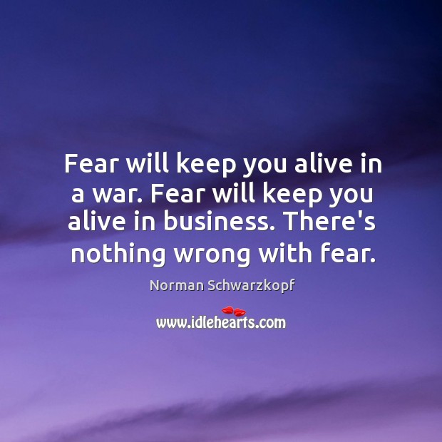 Fear will keep you alive in a war. Fear will keep you Norman Schwarzkopf Picture Quote