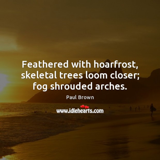 Feathered with hoarfrost, skeletal trees loom closer; fog shrouded arches. Image
