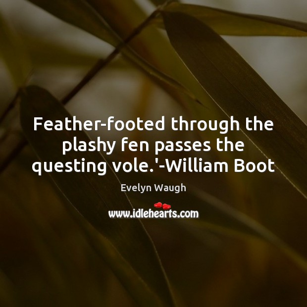 Feather-footed through the plashy fen passes the questing vole.’-William Boot Evelyn Waugh Picture Quote