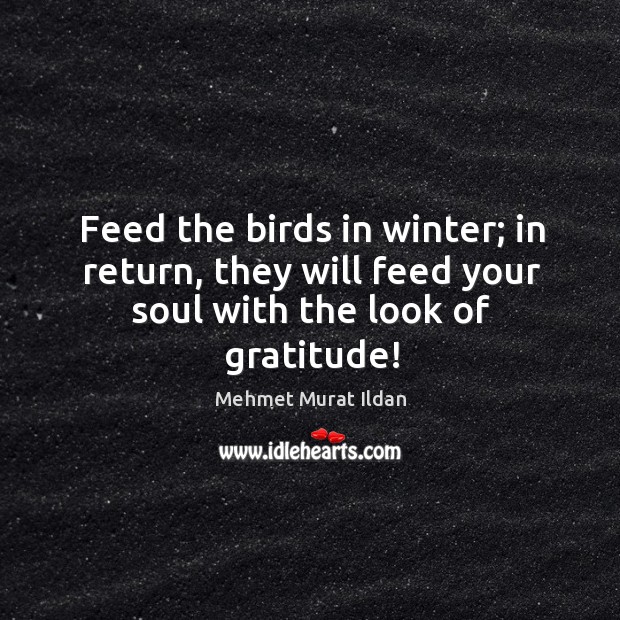 Feed the birds in winter; in return, they will feed your soul with the look of gratitude! Image