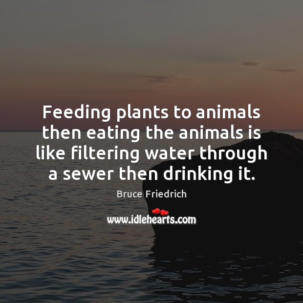 Feeding plants to animals then eating the animals is like filtering water Bruce Friedrich Picture Quote