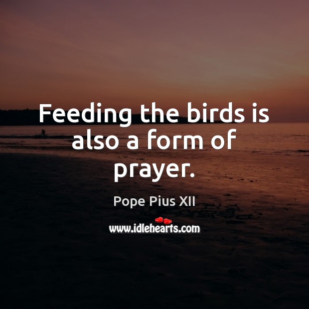 Feeding the birds is also a form of prayer. Pope Pius XII Picture Quote