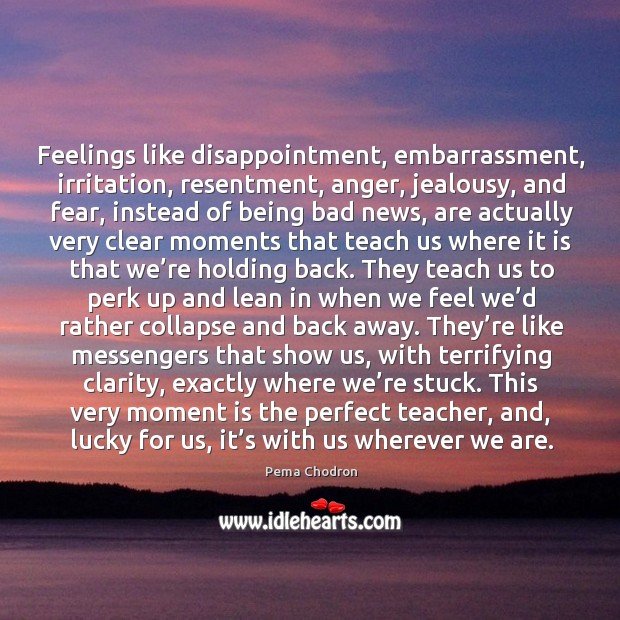 Feelings like disappointment, embarrassment, irritation, resentment, anger, jealousy, and fear Pema Chodron Picture Quote