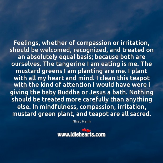 Feelings, whether of compassion or irritation, should be welcomed, recognized, and treated 