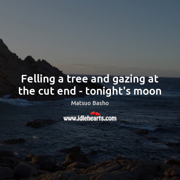 Felling a tree and gazing at the cut end – tonight’s moon Image