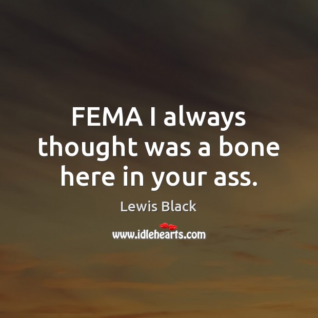 FEMA I always thought was a bone here in your ass. Lewis Black Picture Quote