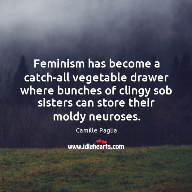 Feminism has become a catch-all vegetable drawer where bunches of clingy sob Image