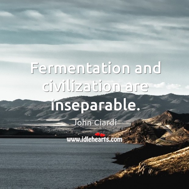 Fermentation and civilization are inseparable. John Ciardi Picture Quote