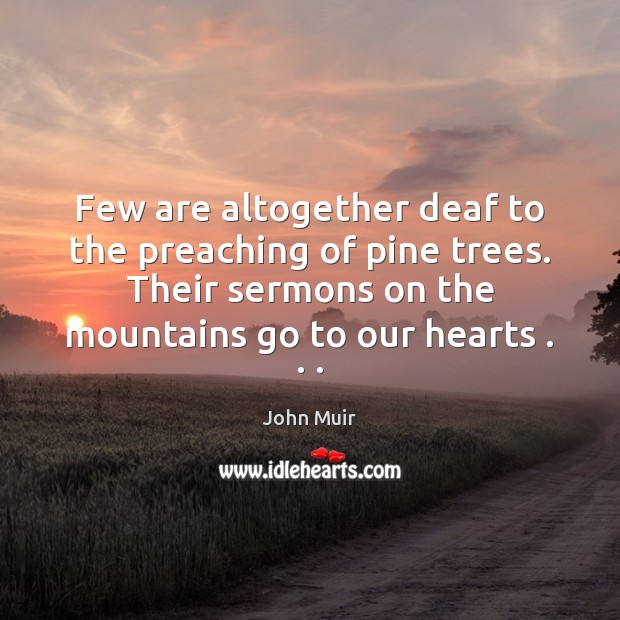 Few are altogether deaf to the preaching of pine trees. Their sermons Image