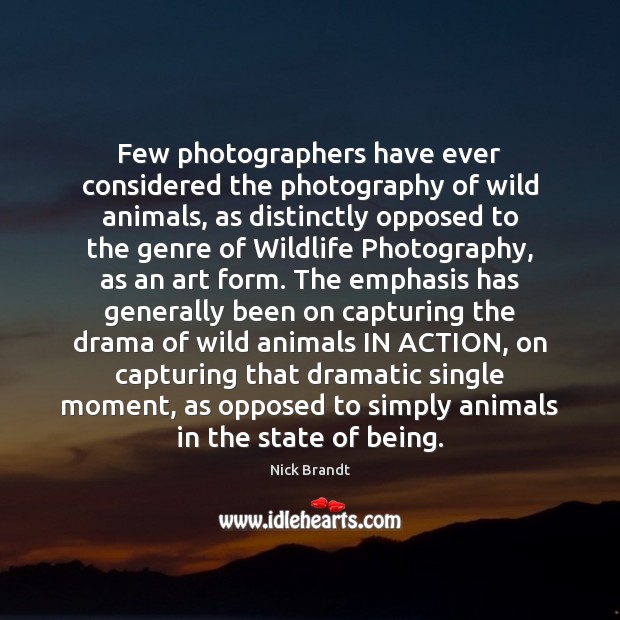 Few photographers have ever considered the photography of wild animals, as distinctly Nick Brandt Picture Quote