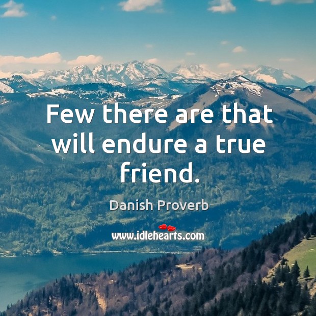 Few there are that will endure a true friend. True Friends Quotes Image