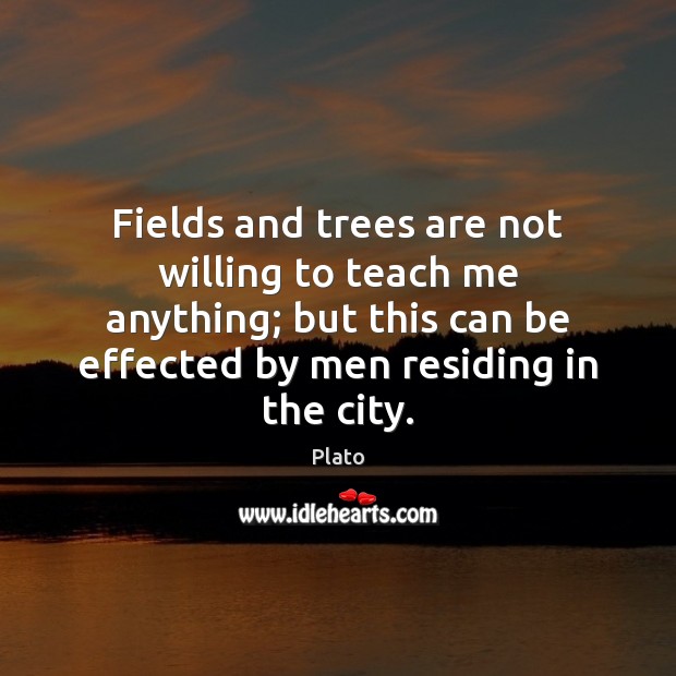 Fields and trees are not willing to teach me anything; but this Plato Picture Quote
