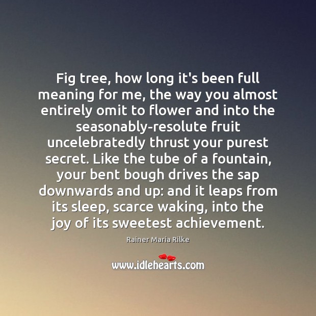 Fig tree, how long it’s been full meaning for me, the way Rainer Maria Rilke Picture Quote