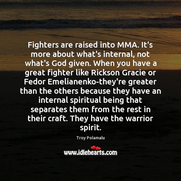 Fighters are raised into MMA. It’s more about what’s internal, not what’s Troy Polamalu Picture Quote