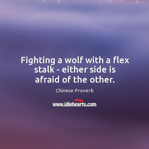 Fighting a wolf with a flex stalk – either side is afraid of the other. Image