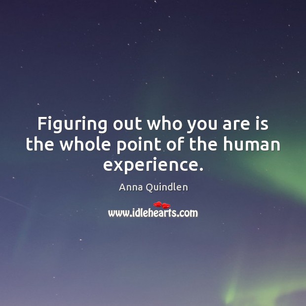 Figuring out who you are is the whole point of the human experience. Anna Quindlen Picture Quote