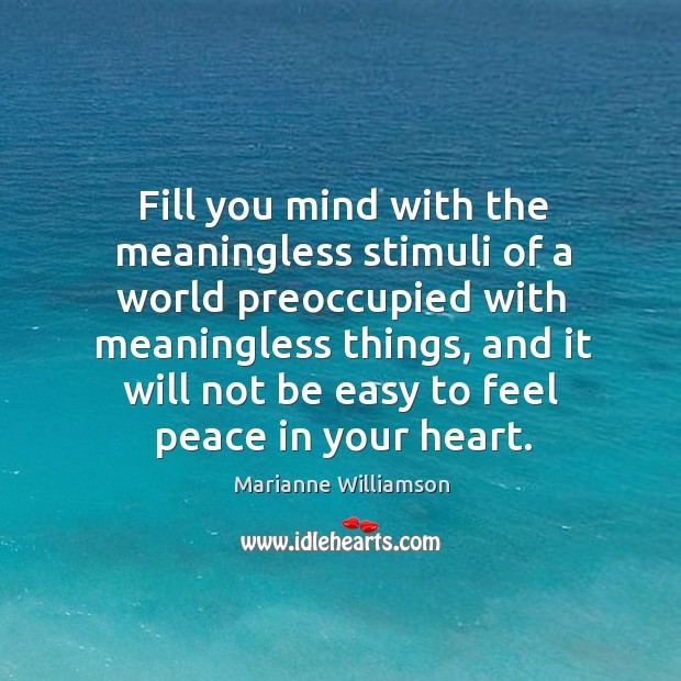 Fill you mind with the meaningless stimuli of a world preoccupied with meaningless things Marianne Williamson Picture Quote