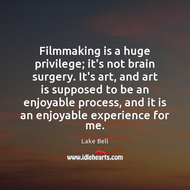 Filmmaking is a huge privilege; it’s not brain surgery. It’s art, and Lake Bell Picture Quote