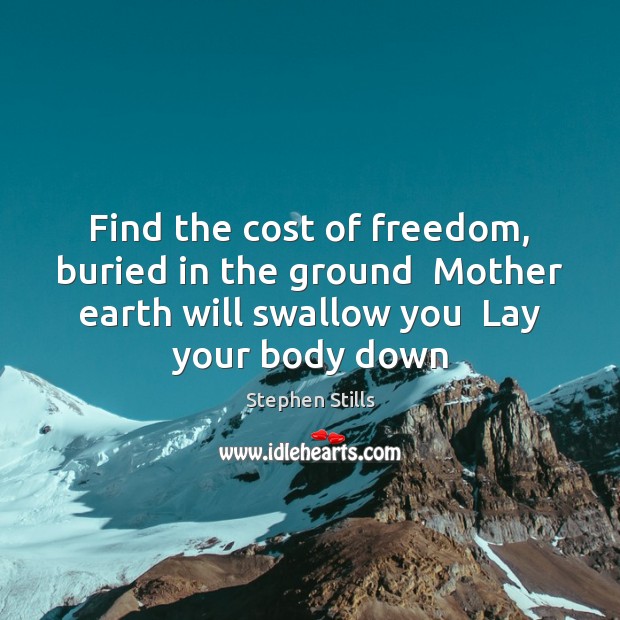 Find the cost of freedom, buried in the ground  Mother earth will Stephen Stills Picture Quote
