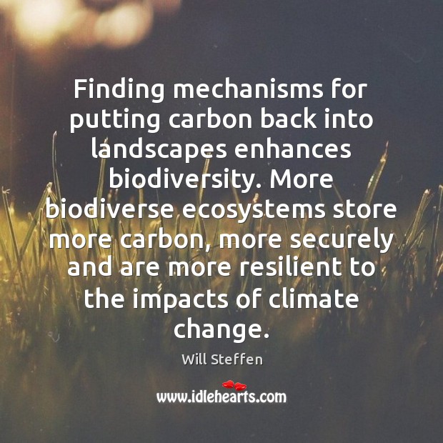 Finding mechanisms for putting carbon back into landscapes enhances biodiversity. More biodiverse Climate Quotes Image
