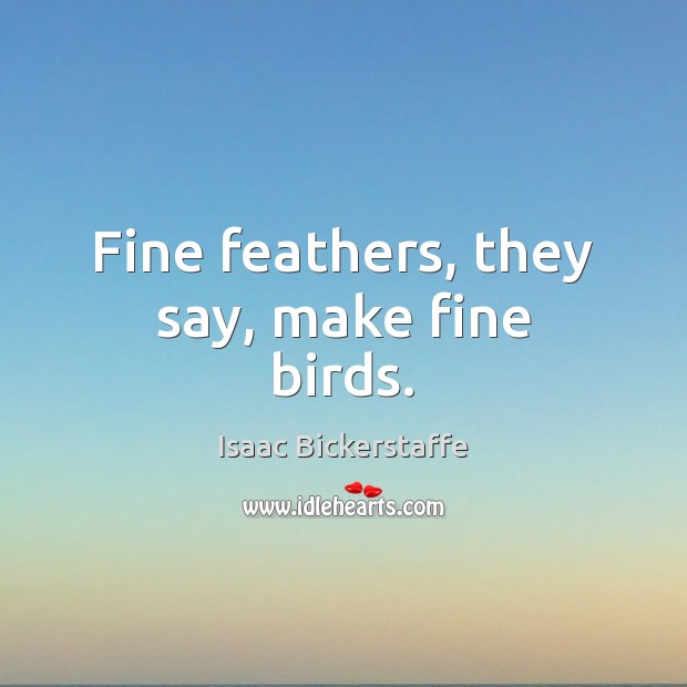 Fine feathers, they say, make fine birds. Image