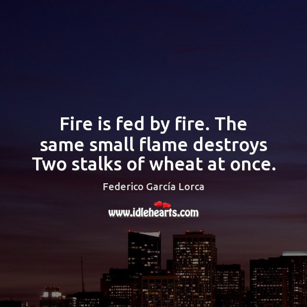 Fire is fed by fire. The same small flame destroys Two stalks of wheat at once. Federico García Lorca Picture Quote