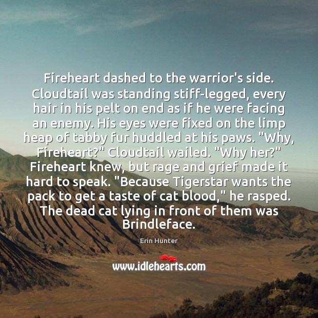 Fireheart dashed to the warrior’s side. Cloudtail was standing stiff-legged, every hair Erin Hunter Picture Quote