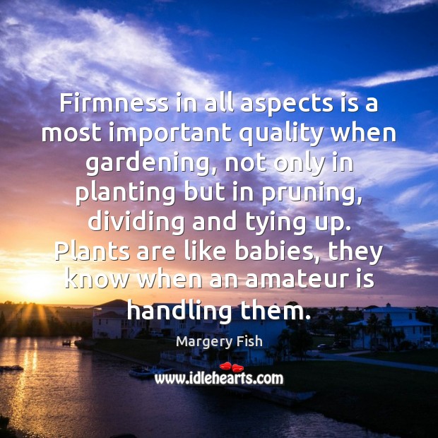 Firmness in all aspects is a most important quality when gardening, not Margery Fish Picture Quote