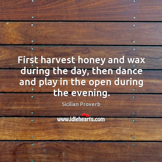 First harvest honey and wax during the day Image