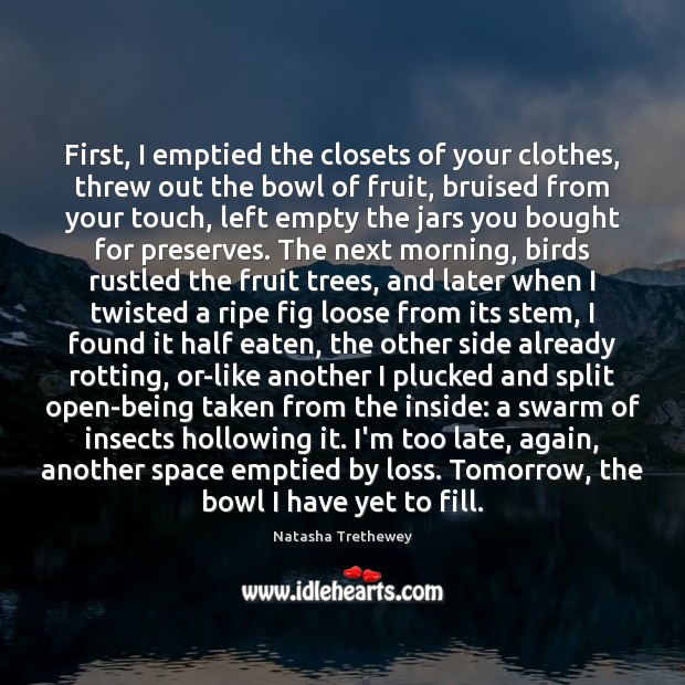 First, I emptied the closets of your clothes, threw out the bowl Natasha Trethewey Picture Quote