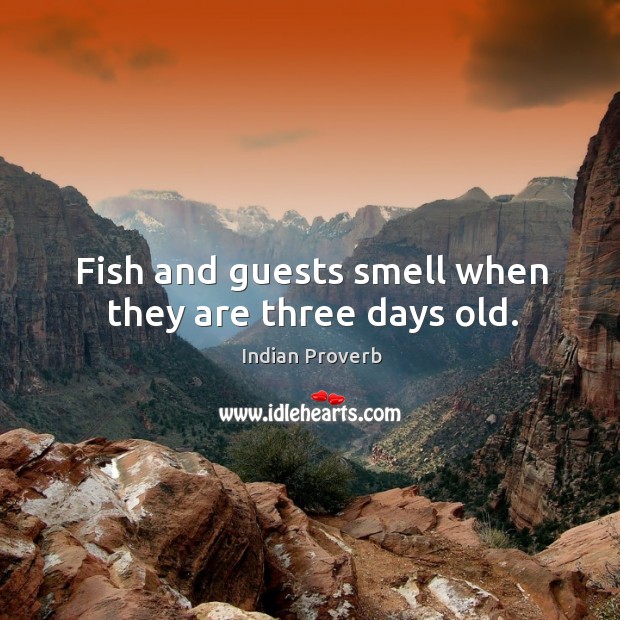Fish and guests smell when they are three days old. Indian Proverbs Image
