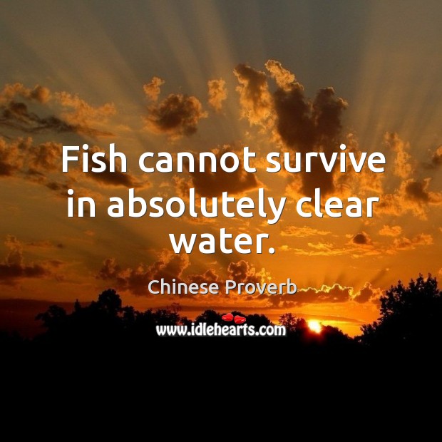 Fish cannot survive in absolutely clear water. Image