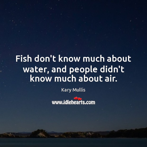 Fish don’t know much about water, and people didn’t know much about air. Kary Mullis Picture Quote